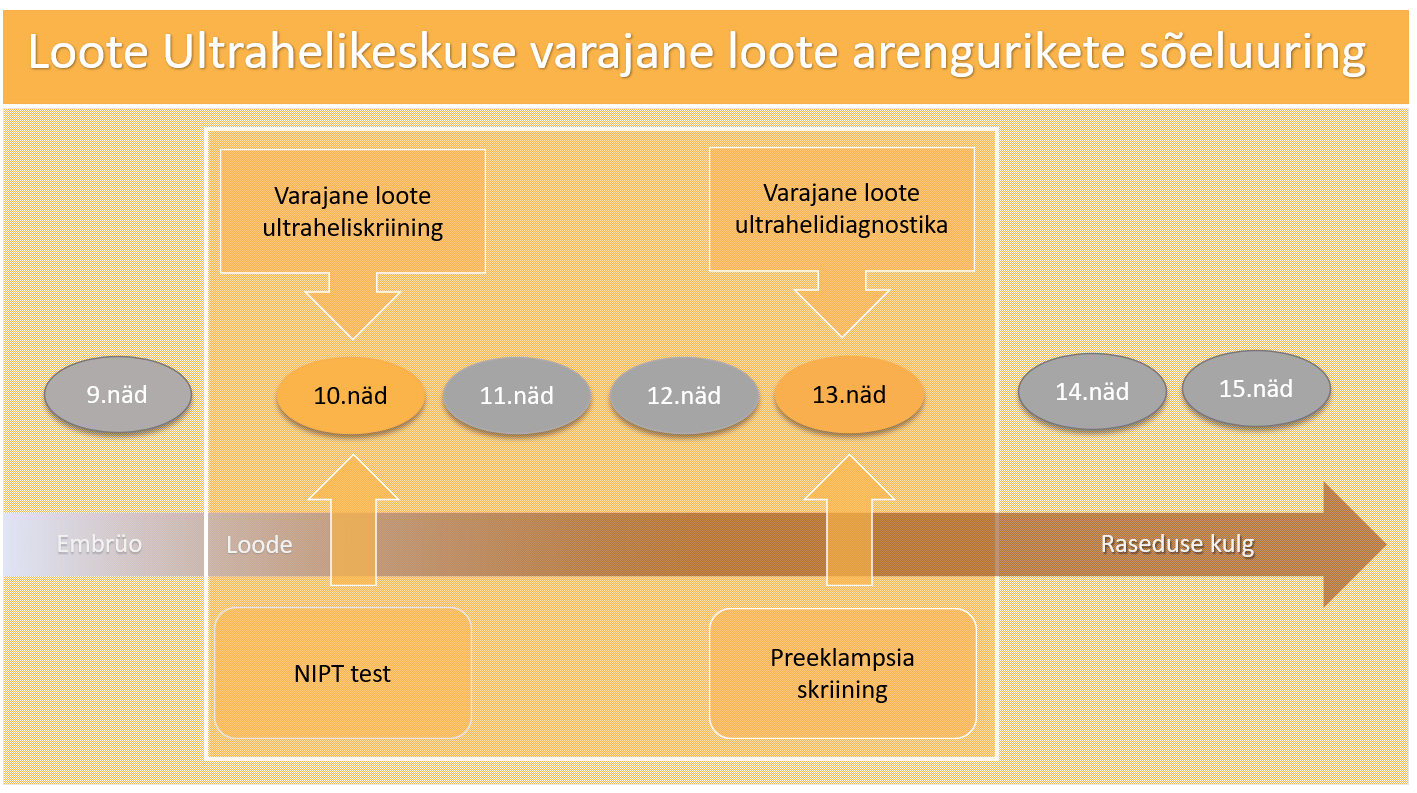 Esimese trimestri sõeluuring