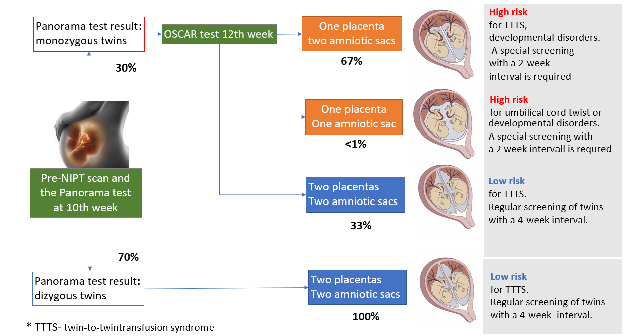 NIPT test in twins