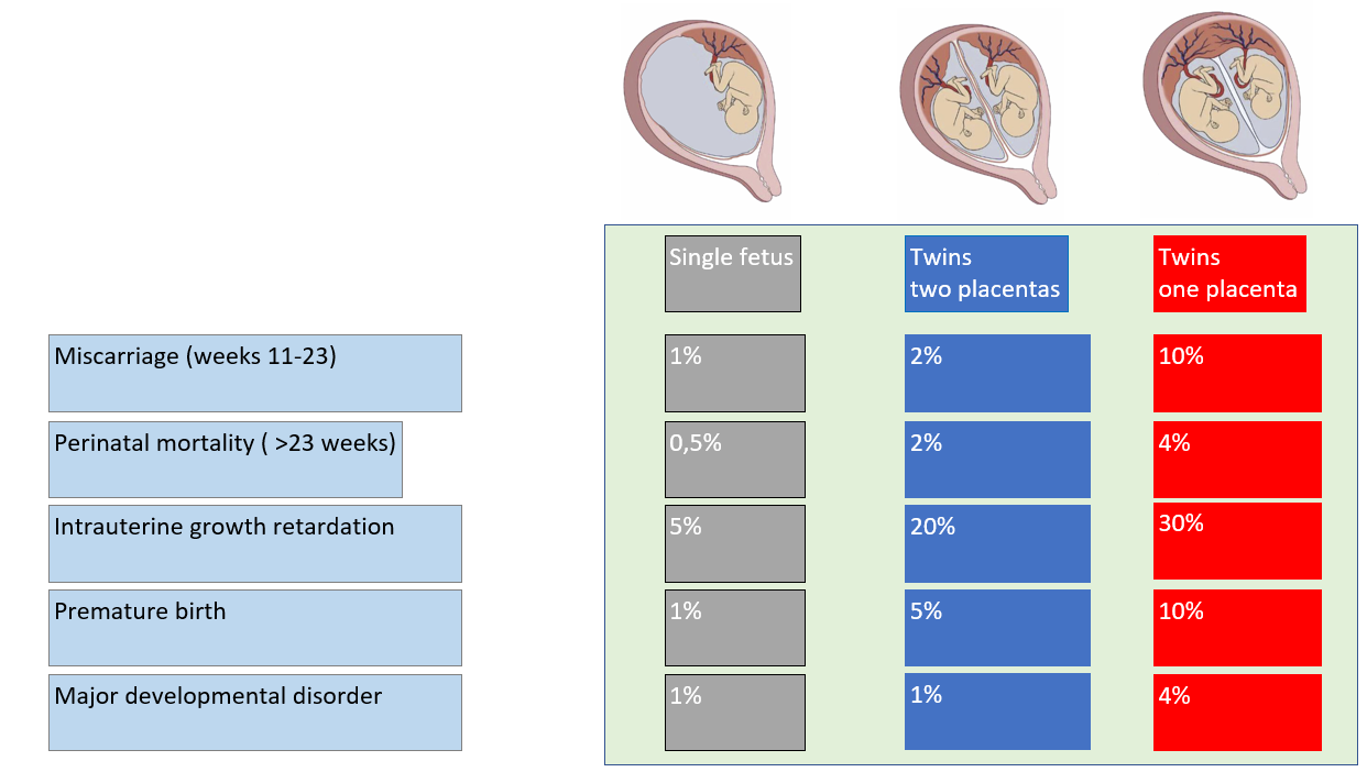 NIPT test for twins