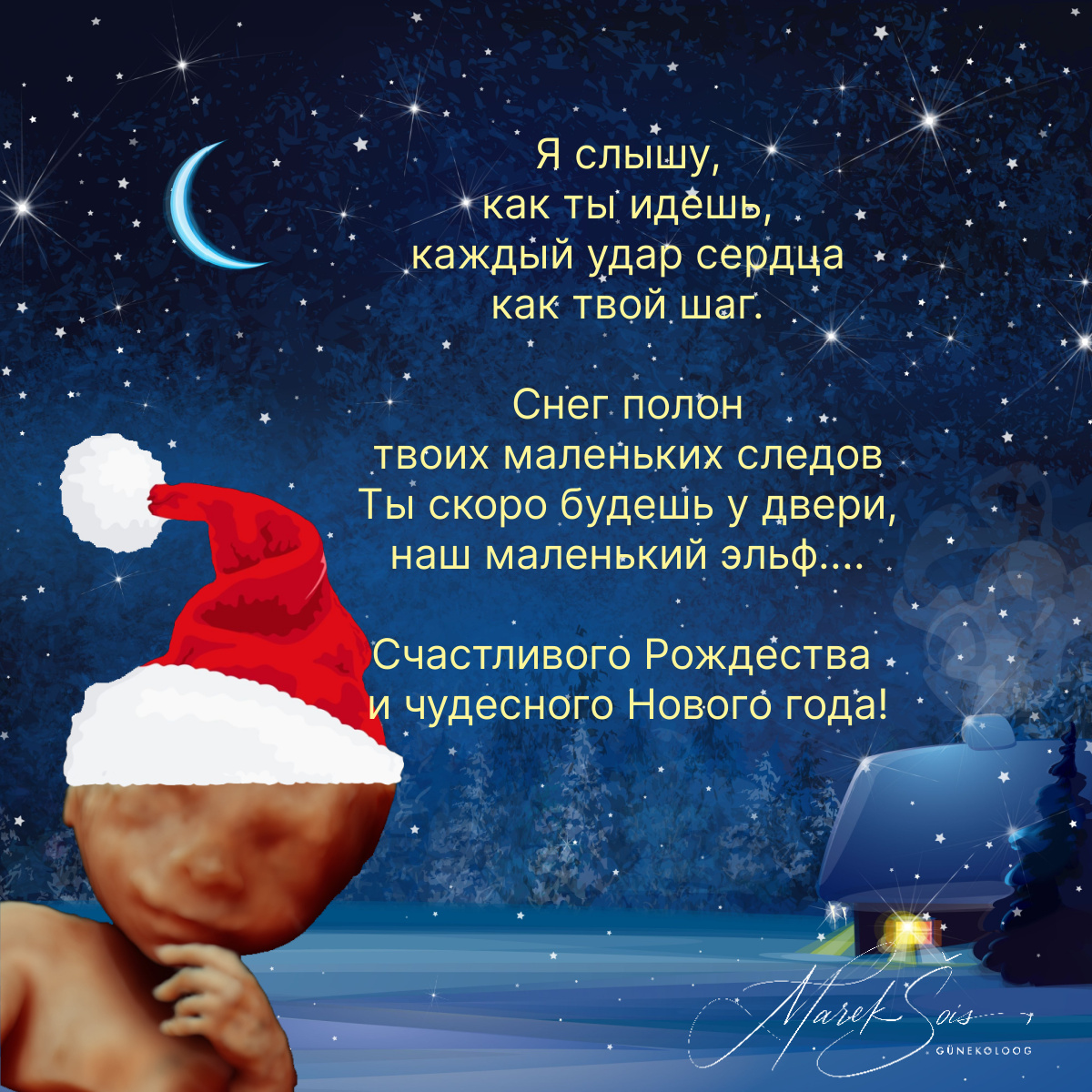 Счастливого Рождества и чудесного Нового года!