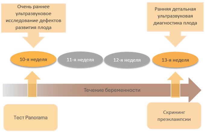 тест Panorama 