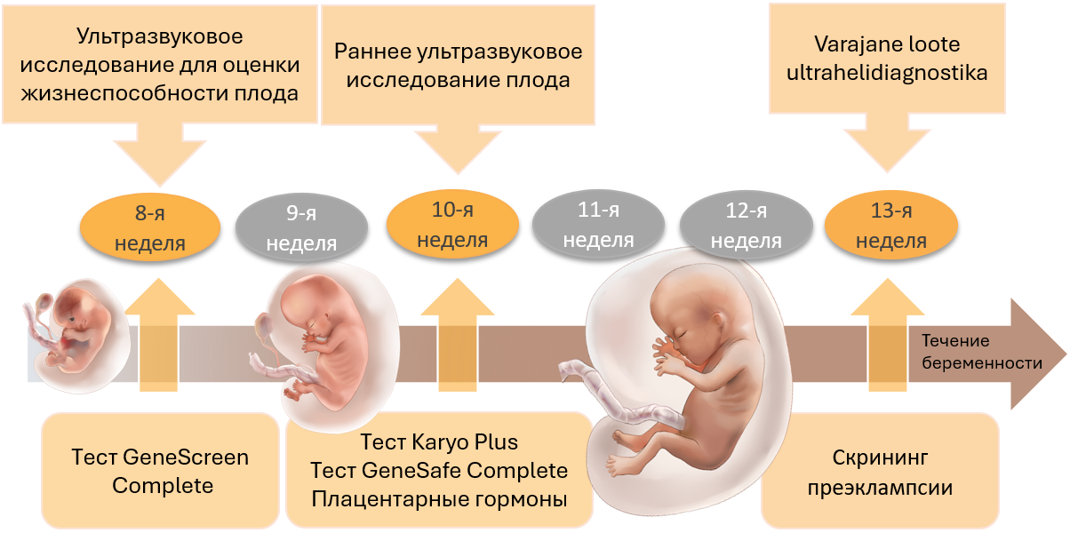 Tect WISE